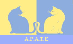 Adoption chats A.P.A.T.E.